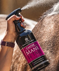 Carr & Day & Martin Mane & Tale Utredningsspray 500ml