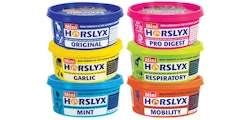 Horslyx Mini Slicksten 650g