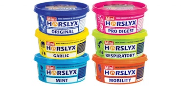 Horslyx Mini Slicksten 650g