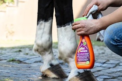 Equinatura Waterless Schampoo 500ml