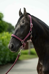 HKM Grimma Samantha