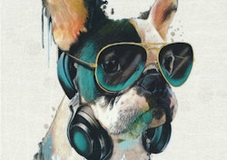 T7041 Joggingtyg Cool hund (55 x 73 cm) 5-pack