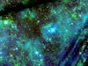 T6225 Joggingtyg Galax blå (5 m)