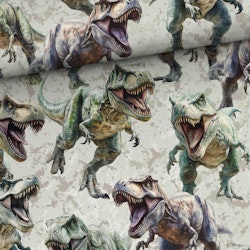 T7139 Joggingtyg T-rex (5 m)