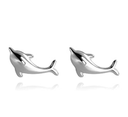 Örhängen - Silver - DELFIN