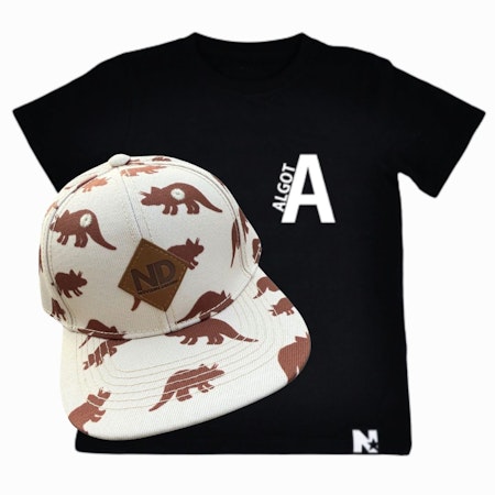 PAKETPRIS - Namntshirt & keps (Dinosaurier)