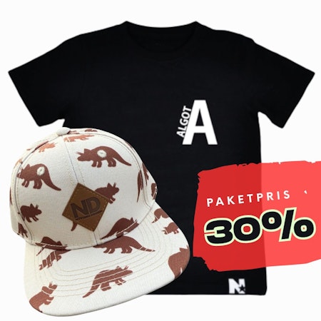 PAKETPRIS - Namntshirt & keps (Dinosaurier)