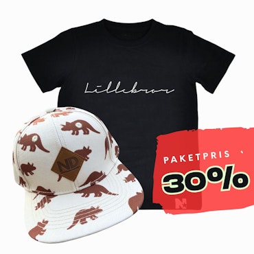 PAKETPRIS - Namntshirt & keps (Dinosaurier)