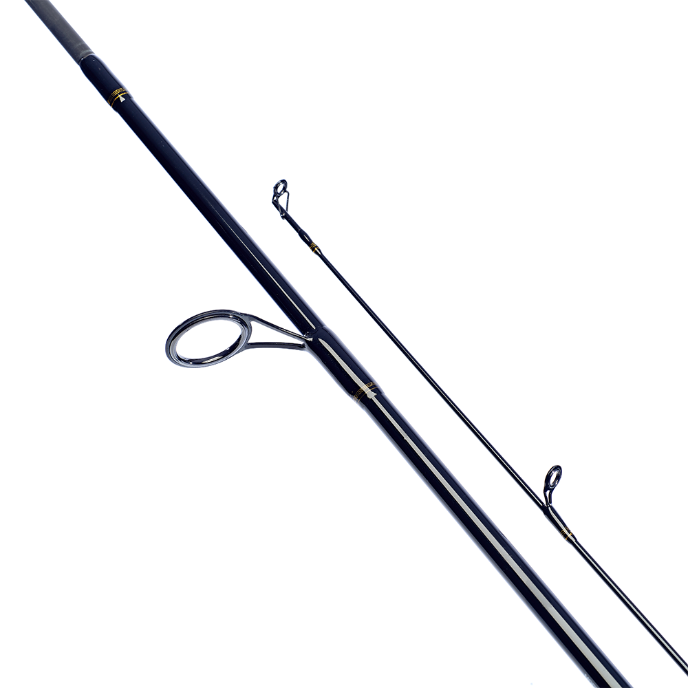 Daiwa Laguna XT Spin