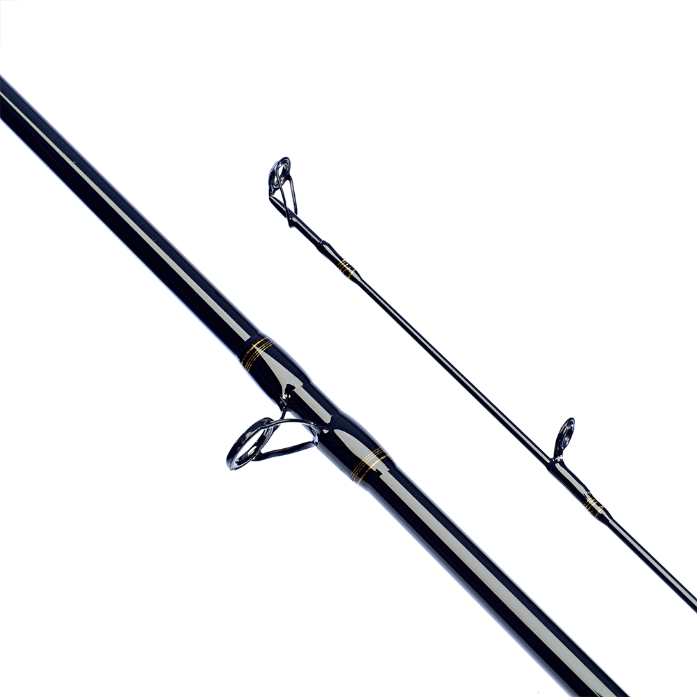 Daiwa Laguna XT Baitcaster