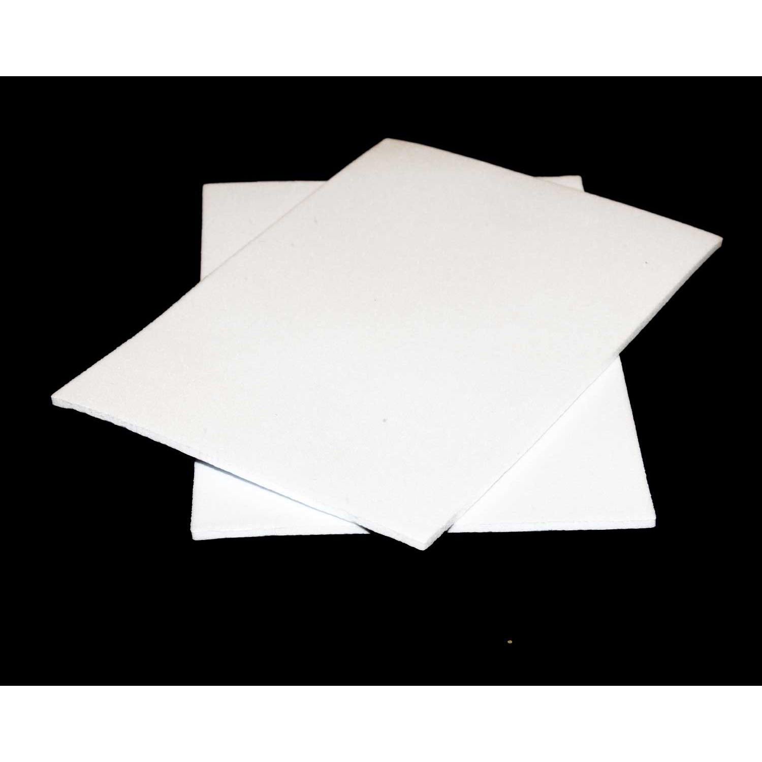 Fly Foam - 2-pack