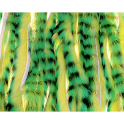 A. Jensen Tiger Zonker Strips