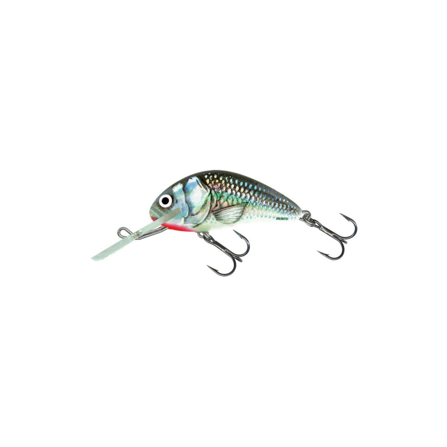 Salmo Hornet Floating 5cm