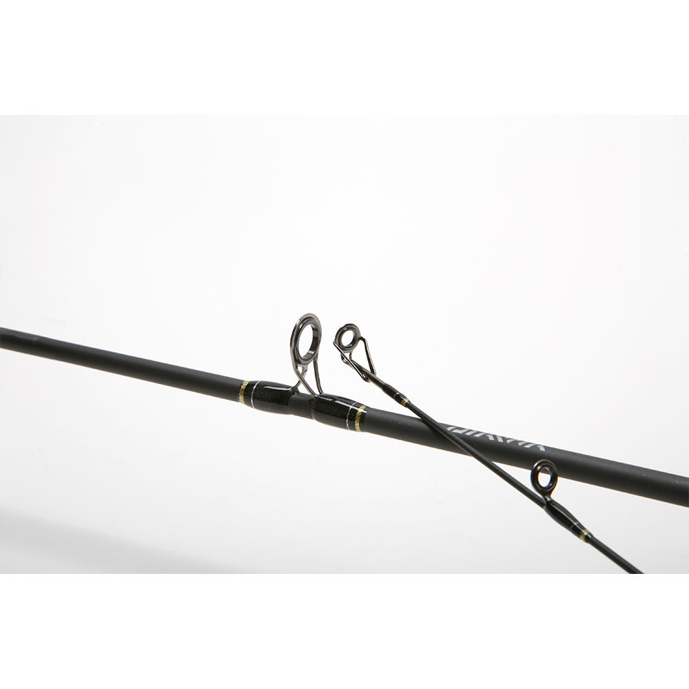 Daiwa Goldcast 6'0'' 2pc Medium 10-30g Casting