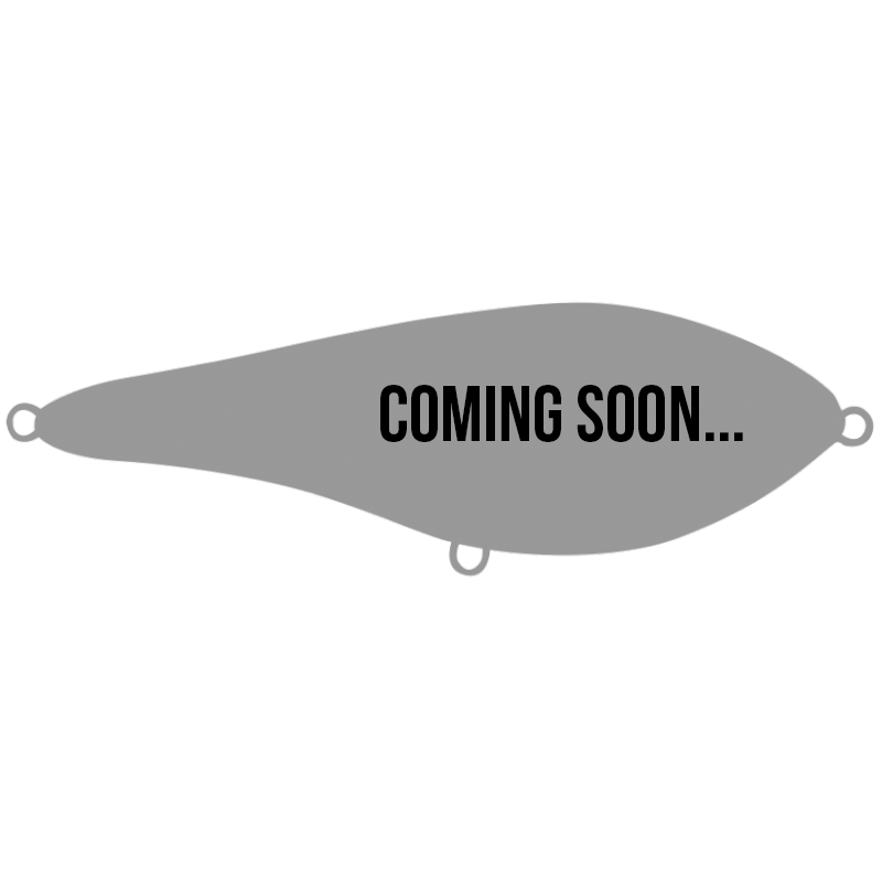 Buster Swim, Slow sink 13cm/65g