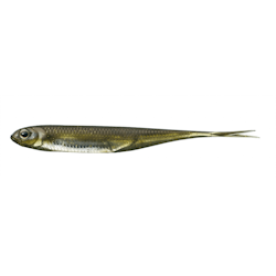 Fish Arrow Flash-J Split 3'' (8,5cm) 7-pack