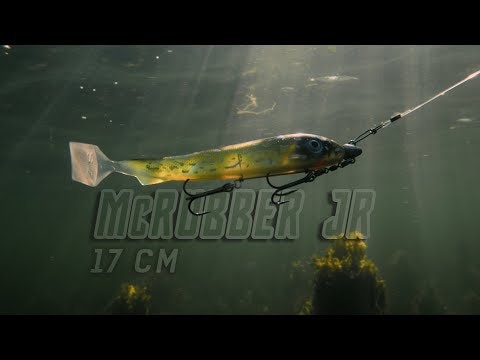 McRubber 21cm/90g - 2pack