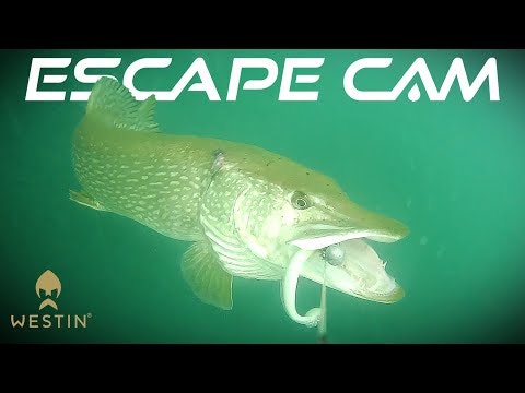 Westin Escape Cam