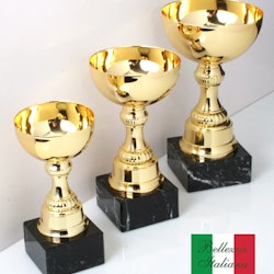 Guldcup Treviso med vinylskylt