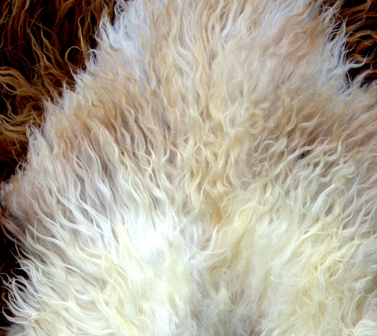 Lammeskinn