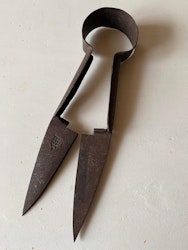 Fårsax