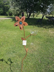 Regnmätare Lotus