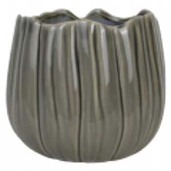 Kruka blad