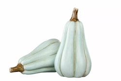 Pumpa poly avlång