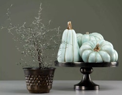 Pumpa poly rund