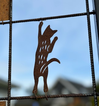 Klättrande katt