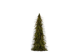 Fjädergran grön
