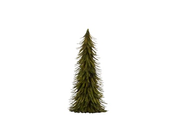 Fjädergran grön