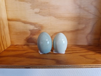 Ägg grön