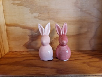Bunny rosa