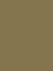 Stahls | CAD-CUT Premium Plus
