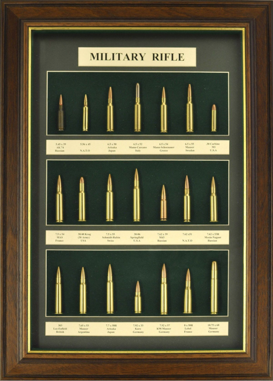 Wallmounted bullet display