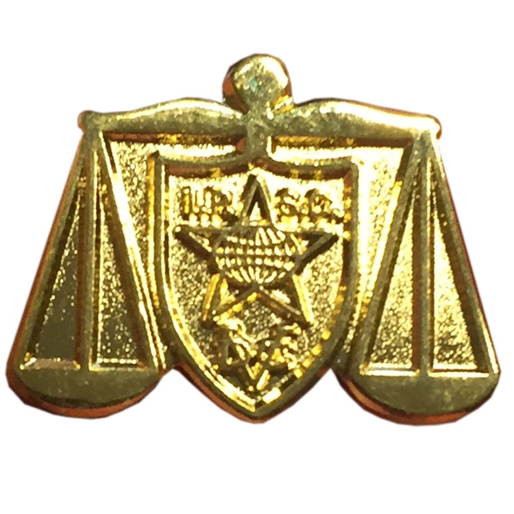 Range Officer Gold Pin