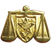 Range Officer Gold Pin