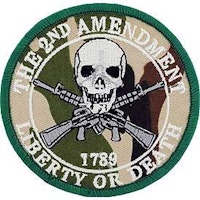 Eagle Emblem -  2nd amendment,1789 - Patch