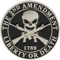 Eagle Emblem -  2nd amendment - Pin