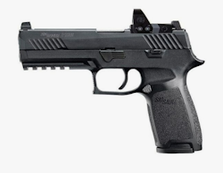 Sig Sauer - P320 RXP 4,7" 9mm - 17RD Steel mag, Romeo1pro