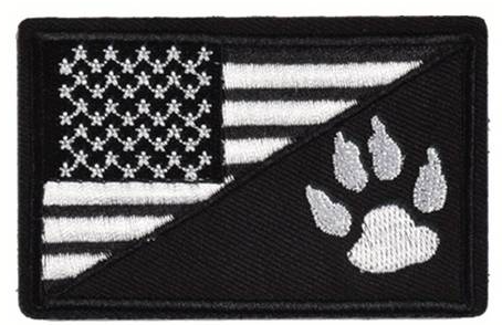 USA Tass  - Patch