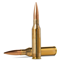 Norma - CTG .338 Norma Mag - 300GR SIERRA HPBT