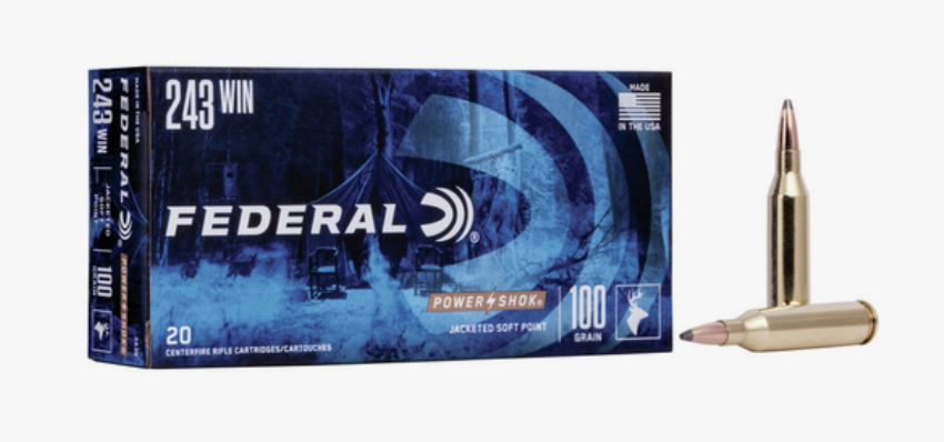 Federal - 243 WIN SP Power-Shok 100gr - 20/Box