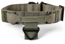 5.11 - Aros K9 Collar 1.5" - Ranger Green (186)