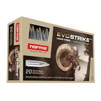 Norma - CTG .308 Win - Evostrike - 9.0g/139gr - 20/ask
