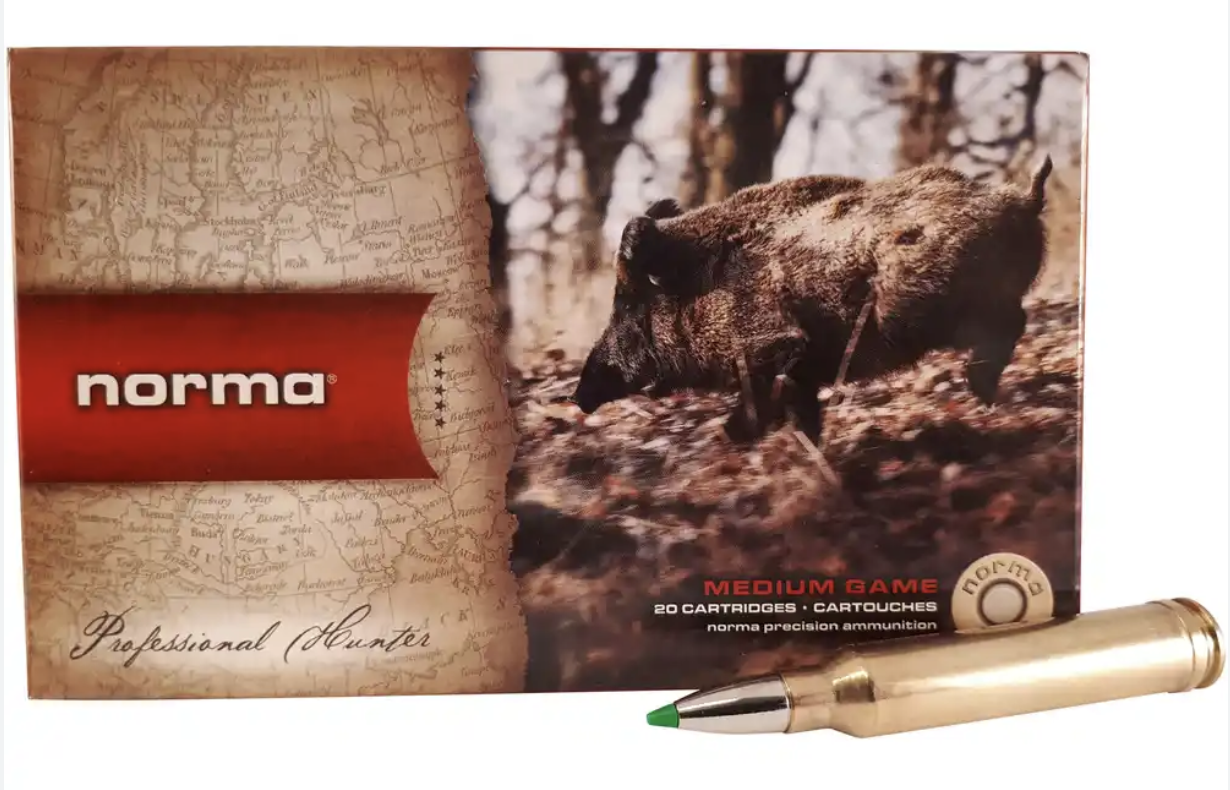 Norma - CTG .300 Win Mag - 150gr - ECOSTRIKE - 20/ask