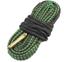 Boresnake