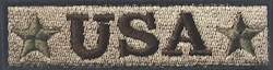 Usa - BrunGrön - Patch