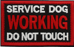 Service dog Working - Do  not touch  - Svart/Röd - Patch